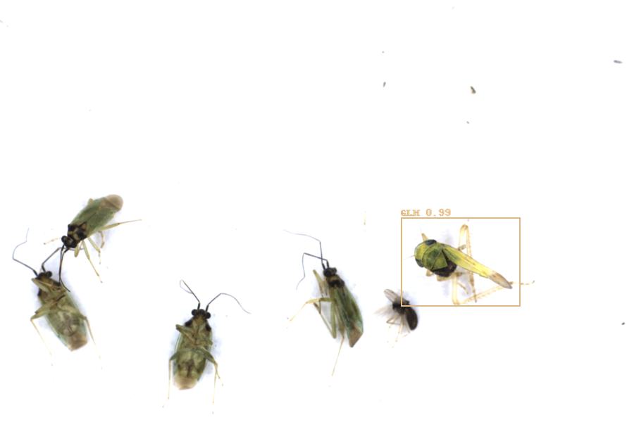 Image 10